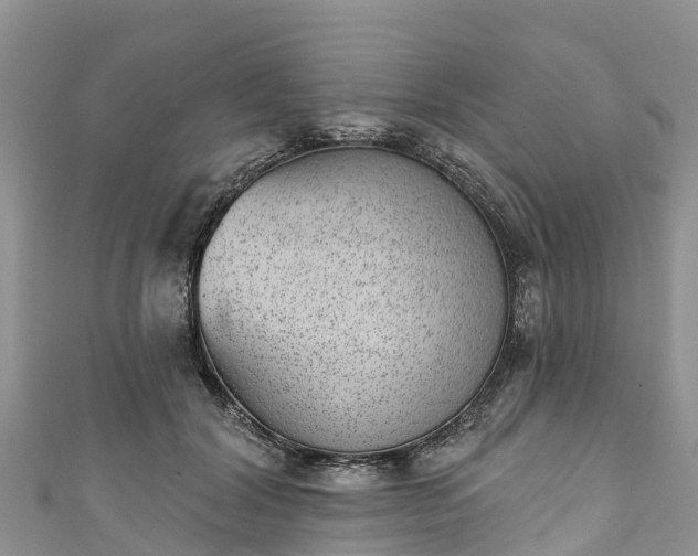 X0000110960604200906261343