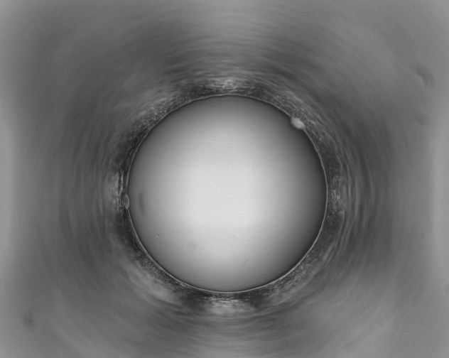 X0000110960605200906261343