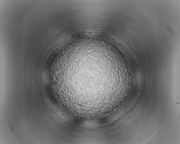 X0000110960606200906261343