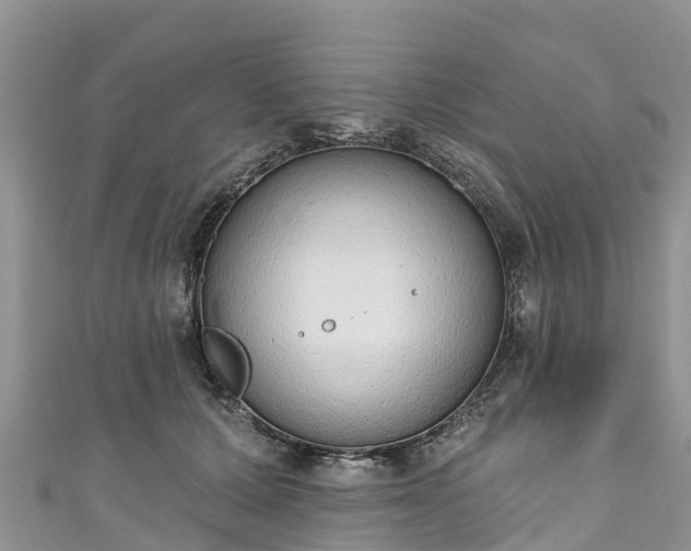 X0000110960607200906261343