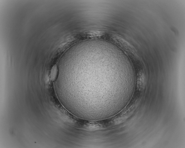 X0000110960608200906261343