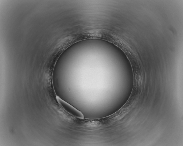 X0000110960609200906261343