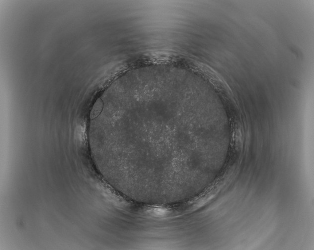 X0000110960610200906261343