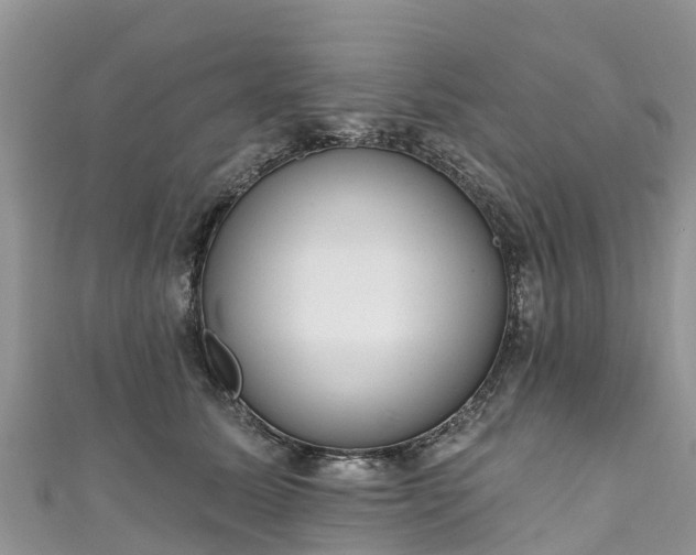 X0000110960611200906261343