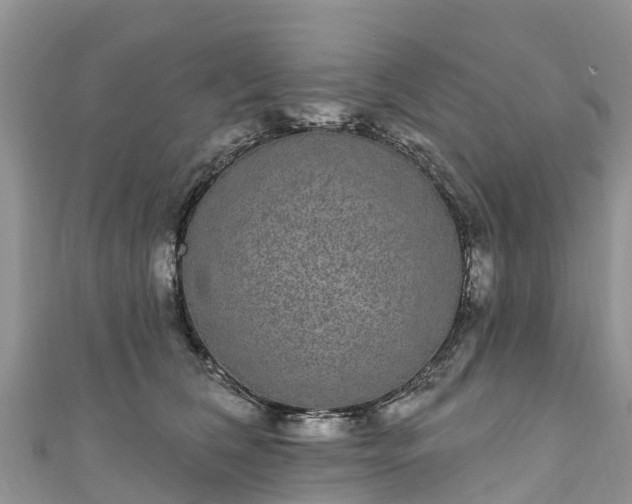 X0000110960612200906261343