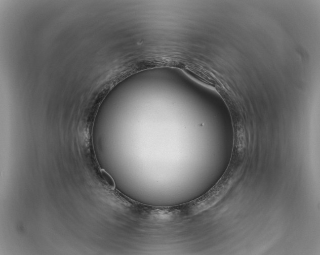 X0000110960613200906261343