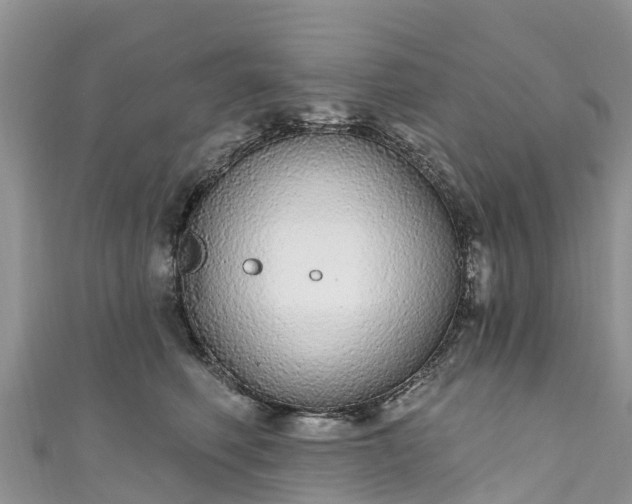 X0000110960614200906261343