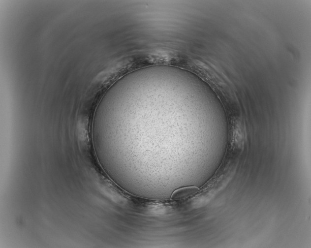 X0000110960616200906261343