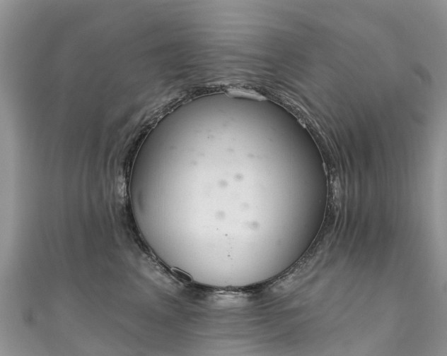 X0000110960617200906261343