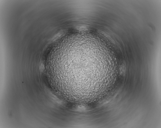 X0000110960618200906261343