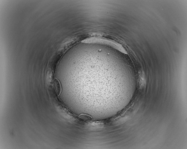 X0000110960619200906261343