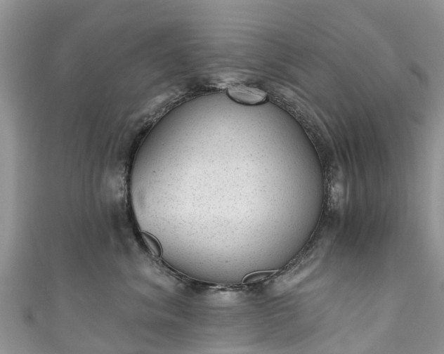 X0000110960620200906261343