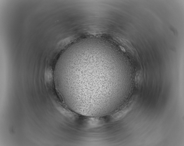 X0000110960623200906261343