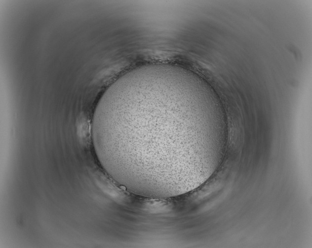 X0000110960624200906261343