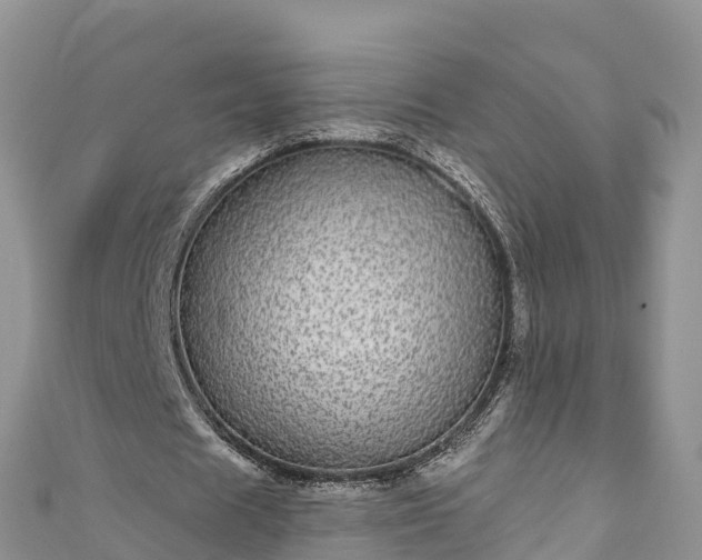 X0000110960625200906261342