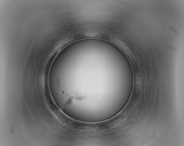 X0000110960626200906261342