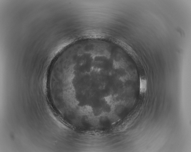 X0000110960627200906261342