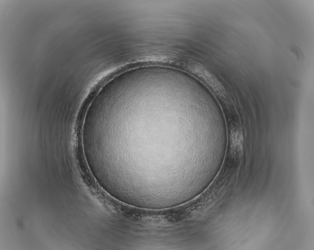 X0000110960628200906261342