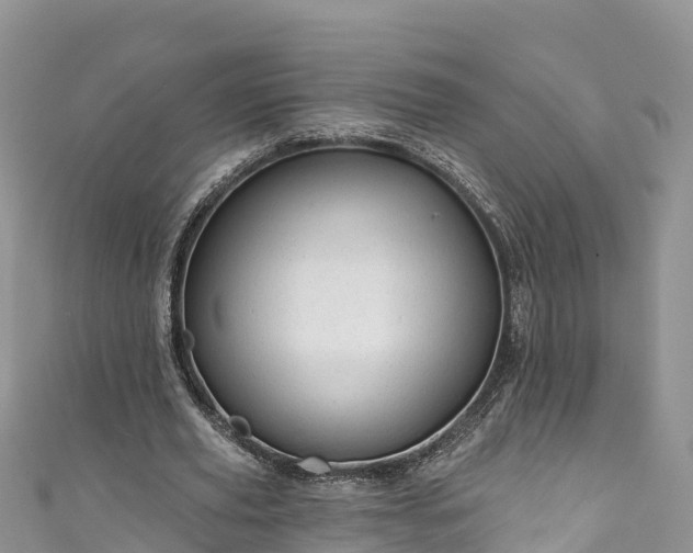 X0000110960629200906261342