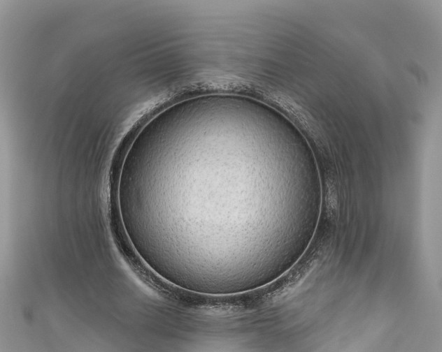 X0000110960630200906261342