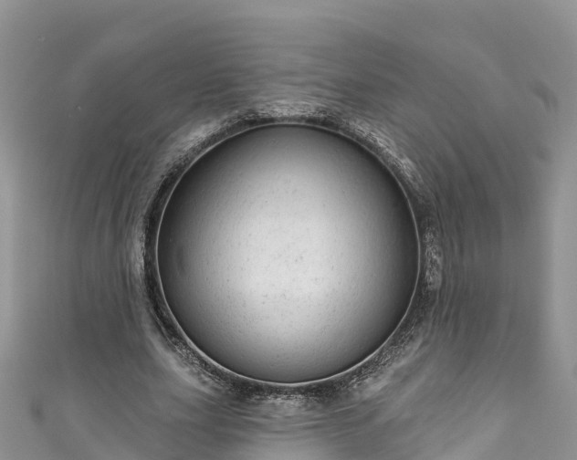 X0000110960631200906261342