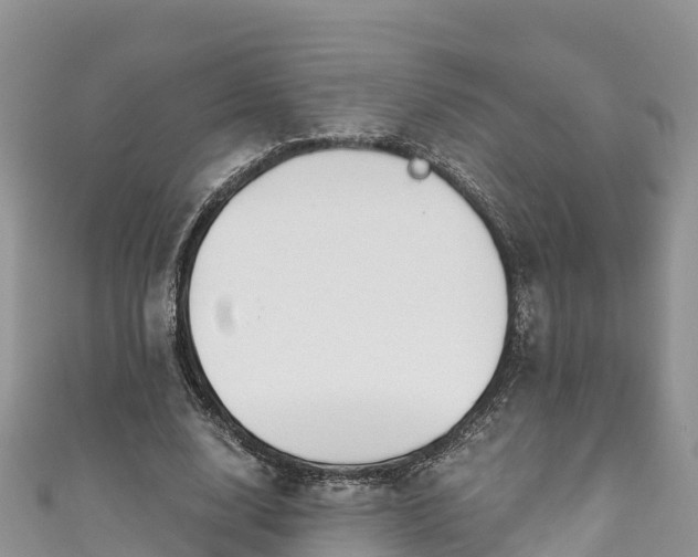 X0000110960632200906261342