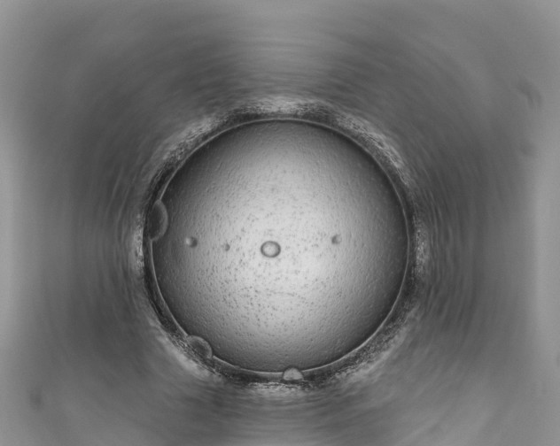 X0000110960633200906261342