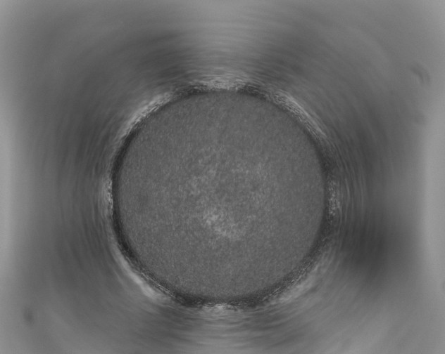 X0000110960634200906261342