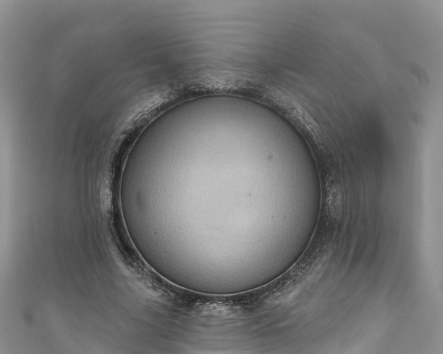 X0000110960635200906261342