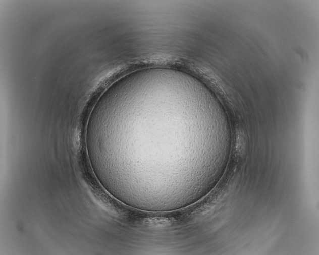 X0000110960636200906261342