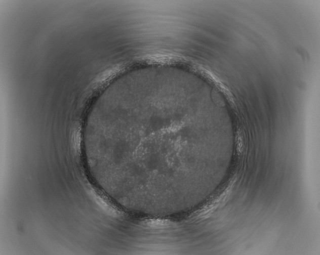 X0000110960637200906261342