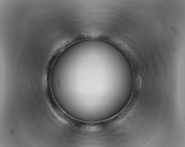 X0000110960638200906261342