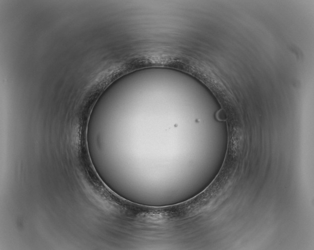 X0000110960639200906261342