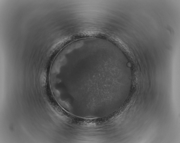 X0000110960640200906261342