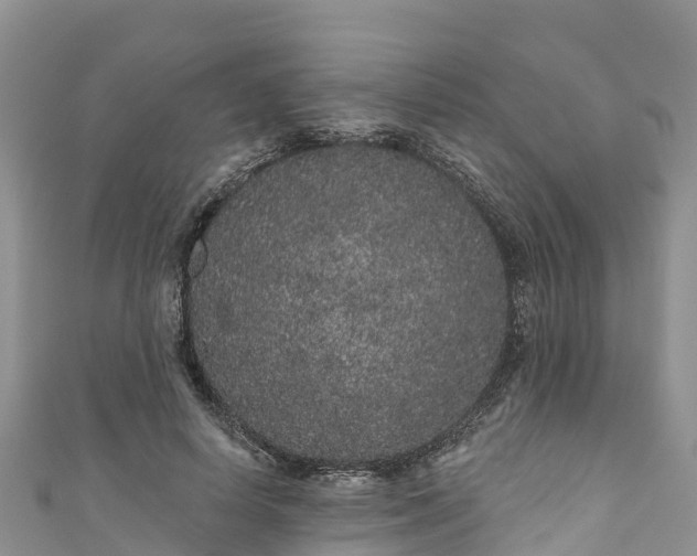 X0000110960642200906261342