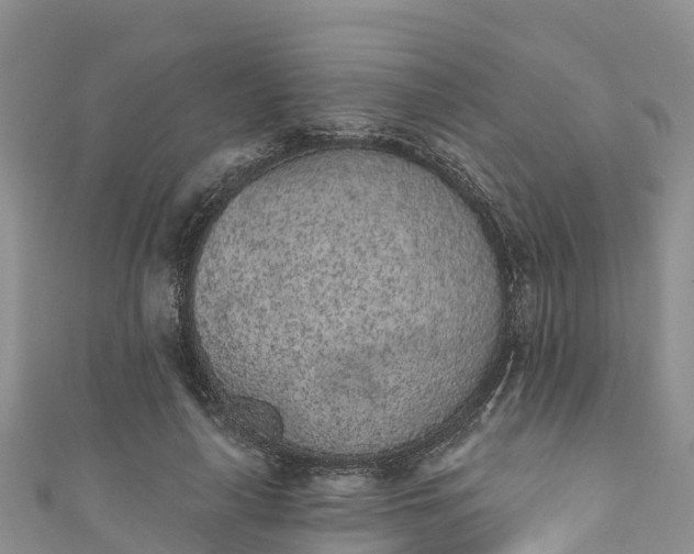 X0000110960643200906261342