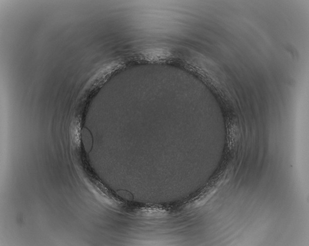 X0000110960644200906261342