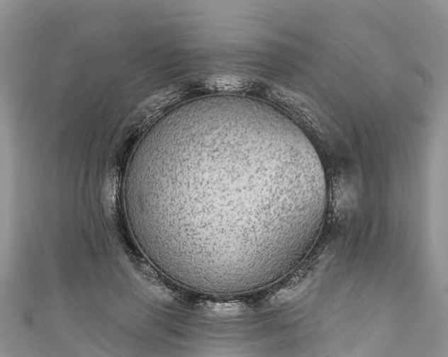 X0000110960645200906261342