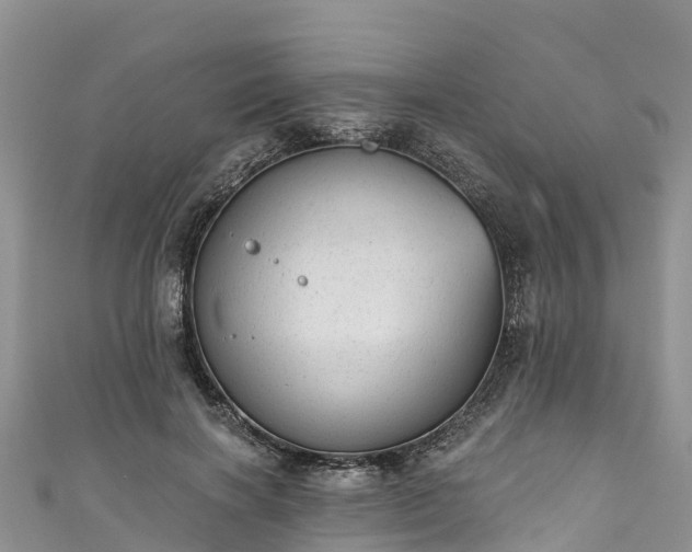 X0000110960646200906261342