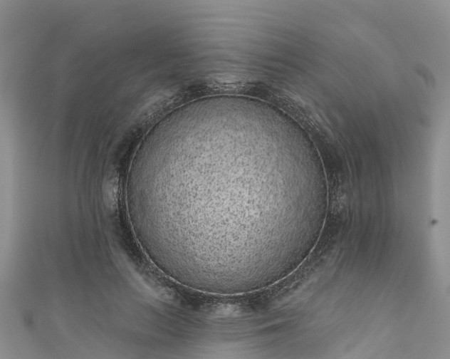 X0000110960647200906261342