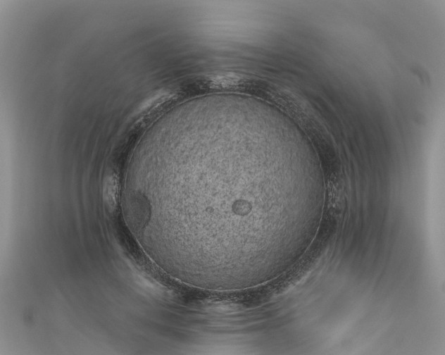 X0000110960648200906261342