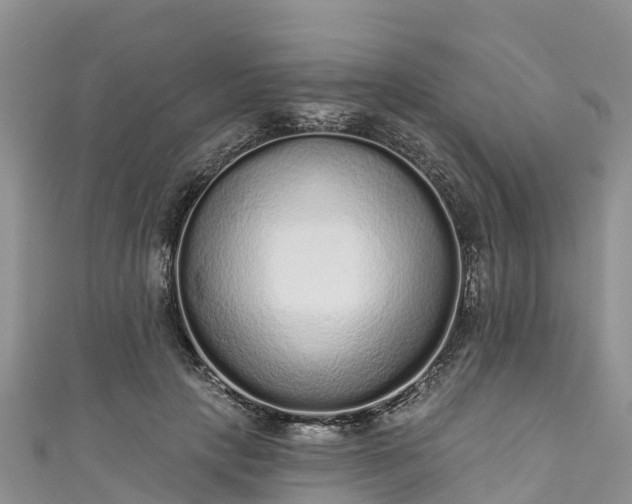 X0000110960649200906261342