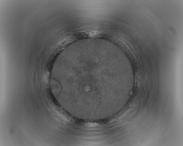 X0000110960650200906261342