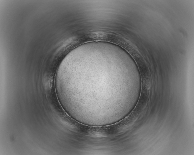 X0000110960652200906261342