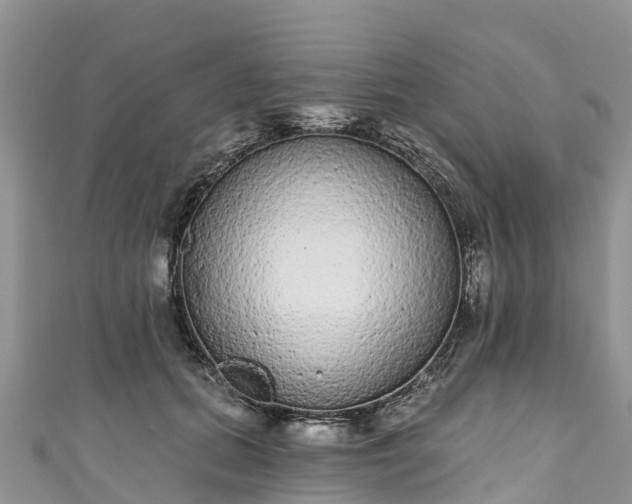 X0000110960655200906261342