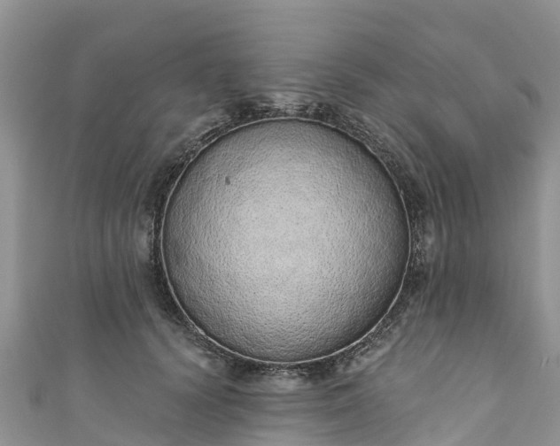 X0000110960656200906261342