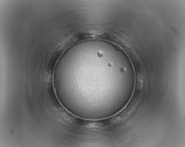 X0000110960657200906261342