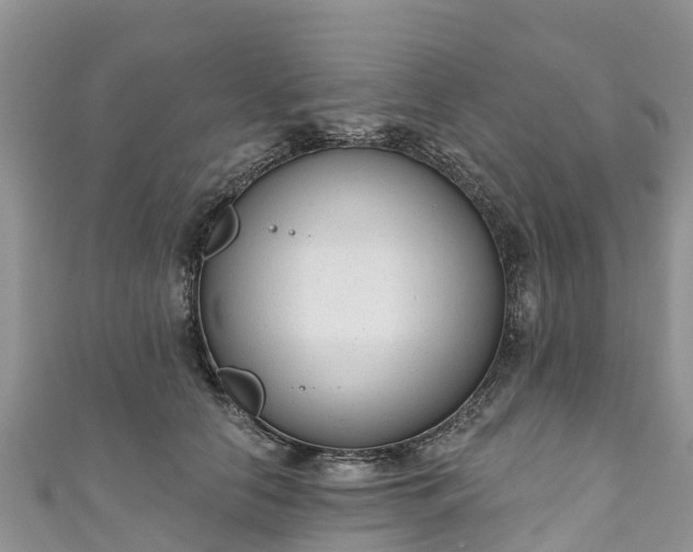 X0000110960658200906261342