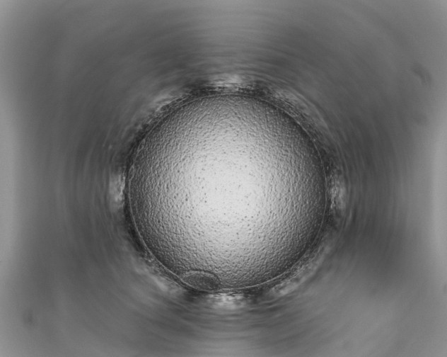 X0000110960660200906261342