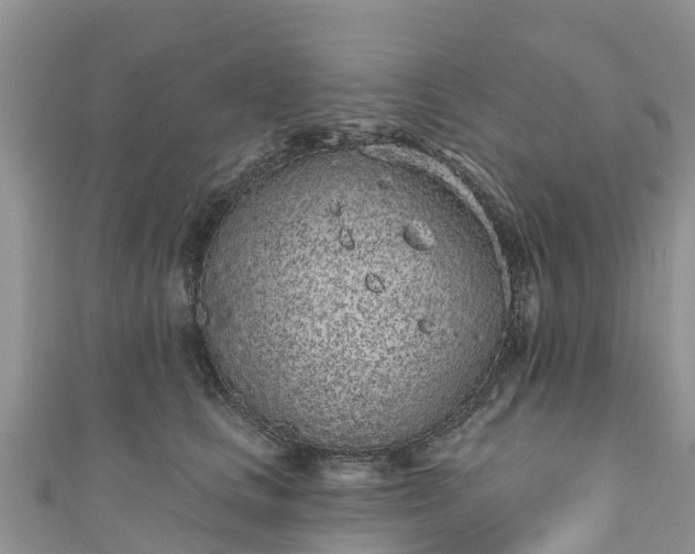 X0000110960661200906261342